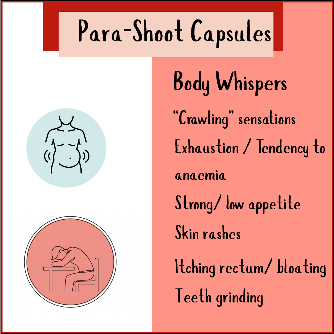 Infographic on Para-shoot capsules, a strong herbal supplement for parasite cleanse, highlights symptoms such as exhaustion, rashes, bloating, and teeth grinding.