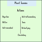 The chart "Plant Tannins, Anti-bacterial - 100 veg caps" lists actions: digestive, bitter, anti-microbial, anti-inflammatory, tonic, detoxifying, and circulatory—highlighting their astringent and antibacterial properties to help fend off parasites.