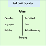 Chart titled "Post Covid - 100 Caps" highlights herbal capsules with circulatory, adaptogenic, nutritive, antioxidant, tonic, anti-inflammatory, and energizing actions—designed to support fatigue and recovery after COVID.