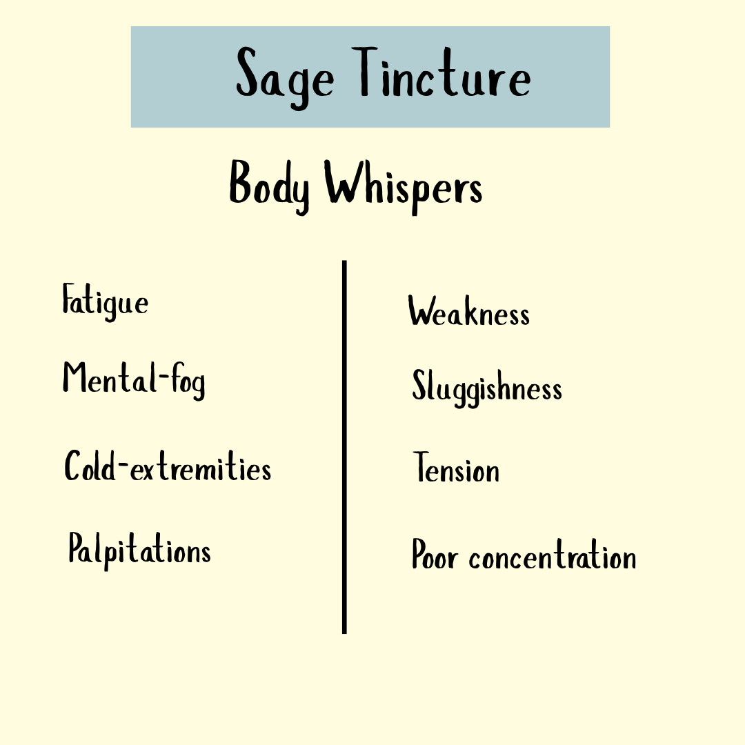 Sage Tincture - 100 ml supports relief from menopausal symptoms like fatigue, mental fog, weakness, and sluggishness with natural antioxidant benefits.