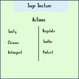 Chart titled "Sage Tincture - 100 ml Actions" lists: Tonify, Cleanse, Astringent, Regulate, Soothe, Protect—showing how this tincture helps antioxidant defenses and may ease menopausal symptoms naturally.