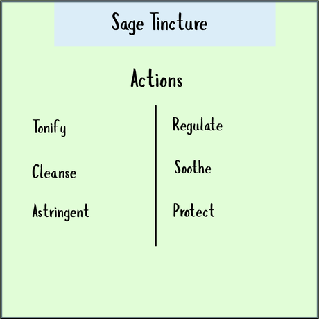 Chart titled "Sage Tincture - 100 ml Actions" lists: Tonify, Cleanse, Astringent, Regulate, Soothe, Protect—showing how this tincture helps antioxidant defenses and may ease menopausal symptoms naturally.