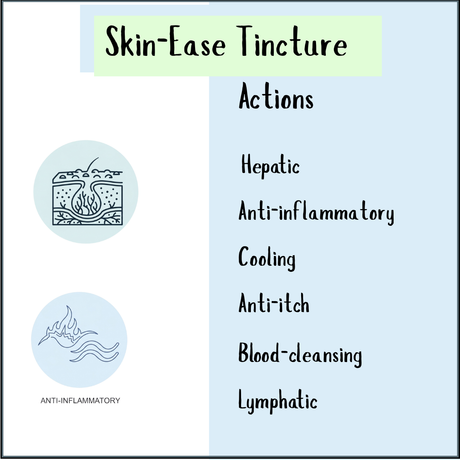 Infographic titled "Skin-Ease Tincture – 200/300ml" highlights its hepatic, anti-inflammatory, cooling, anti-itch, blood-cleansing, and lymphatic actions—ideal for naturally addressing skin concerns and supporting blood cleansing.