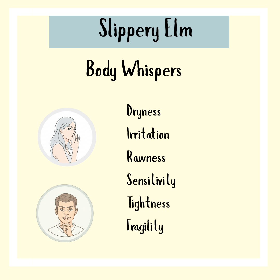 Slippery Elm Powder - 100 gms: For whispers of dryness, irritation, or sensitivity, this powder offers digestive support and soothes the throat when your body signals subtle discomforts.
