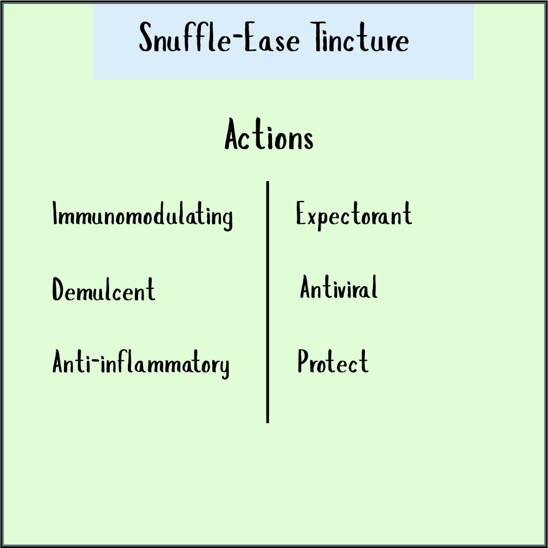 Snuffle-Ease Tincture - 50ml supports your immune system with immunomodulating, demulcent, anti-inflammatory, expectorant, and antiviral properties—your natural daily well-being boost.
