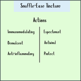 Snuffle-Ease Tincture - 50ml supports your immune system with immunomodulating, demulcent, anti-inflammatory, expectorant, and antiviral properties—your natural daily well-being boost.