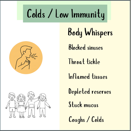 Colds and low immunity infographic