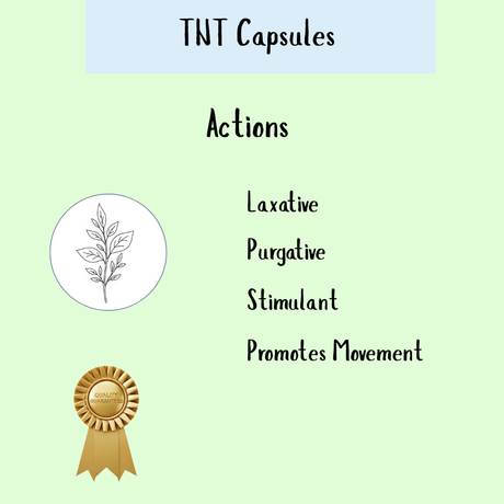 Infographic for TNT - Co-Ton's Big Brother shows its laxative, purgative, and stimulant actions; promotes healthy bowel movement and supports motility. Features plant and award icons.