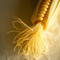 Cornsilk