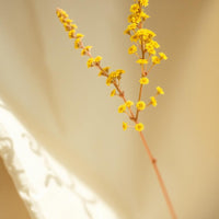 Goldenrod