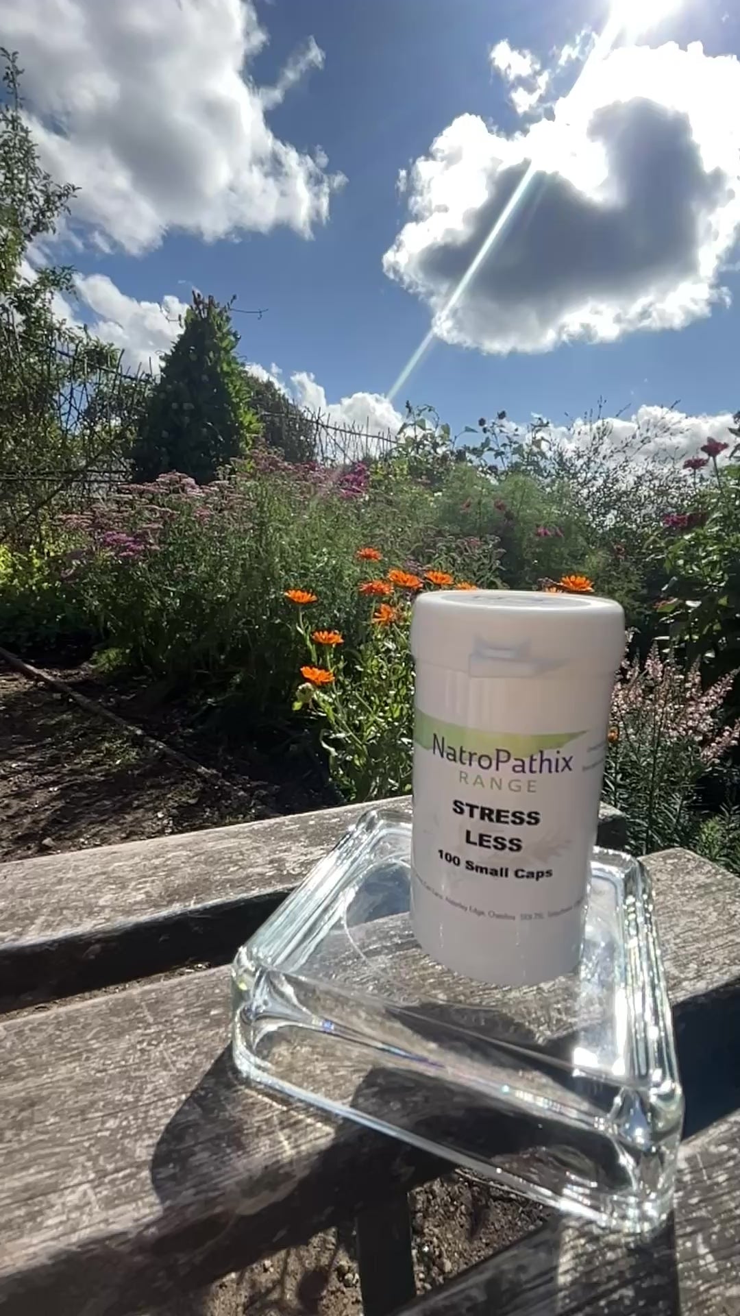 Stress-Less 100 capsules