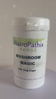 Mushroom Magic - 100 Medicinal caps