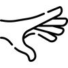 ESSENTIAL OIL